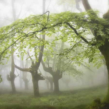 Orereta Near San Sebastián Rentería